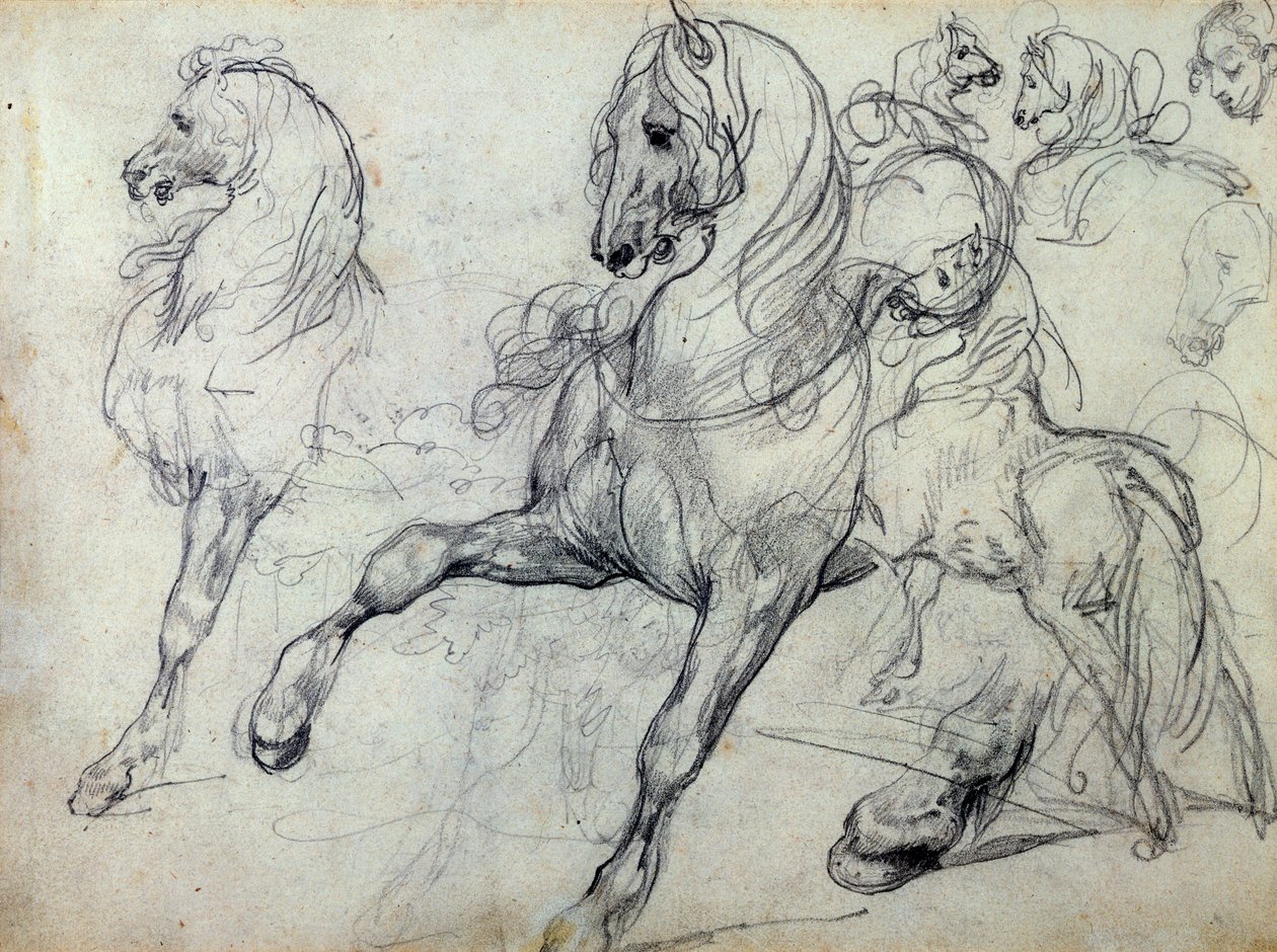 Chevaux - Theodore Gericault
