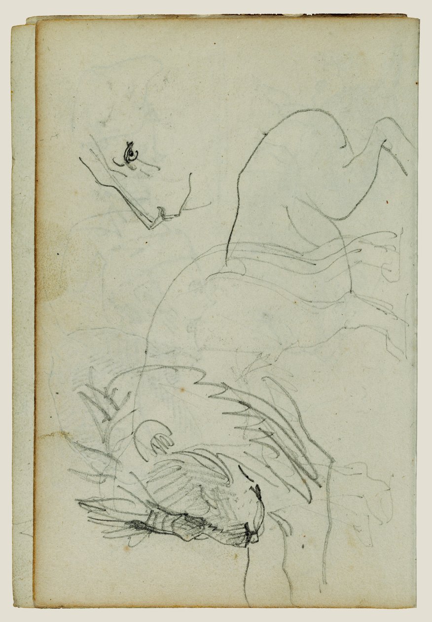 Études sur les lions - Theodore Gericault