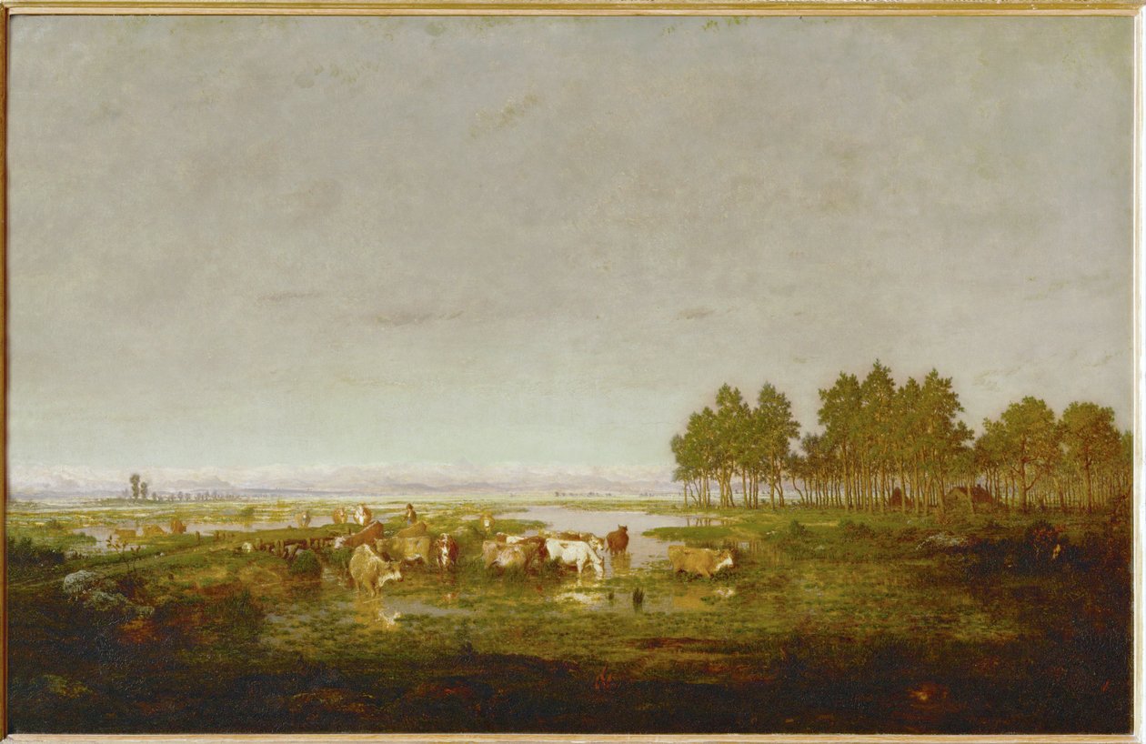 Un marais dans les Landes … - Theodore Rousseau