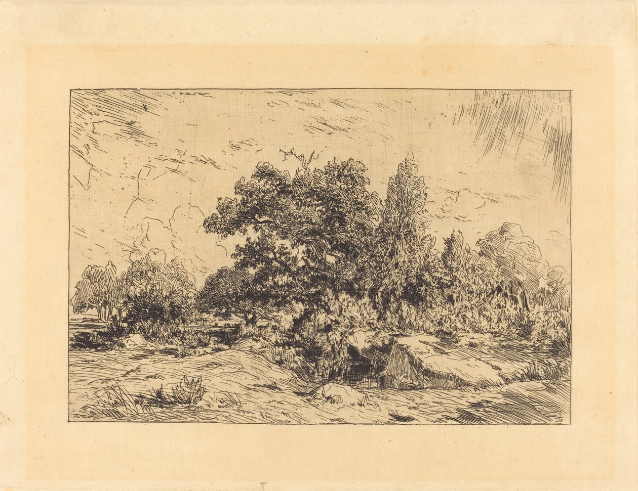 Vue du Plateau de Bellecroix - Theodore Rousseau