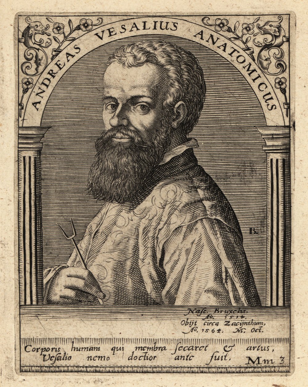 Andreas Vesalius, médecin et anatomiste flamand - Theodore de Bry