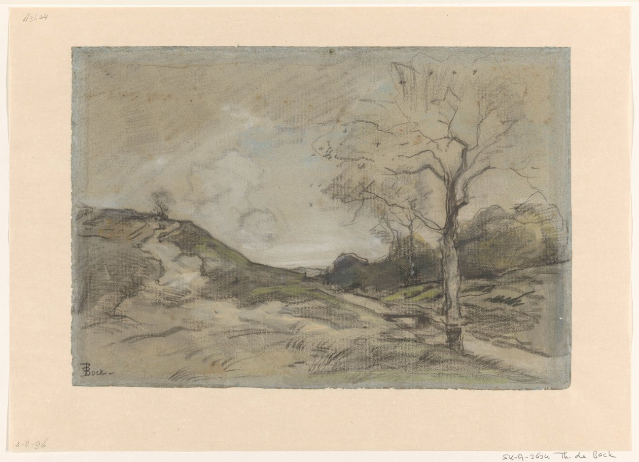 Paysage de dunes - Theophile de Bock