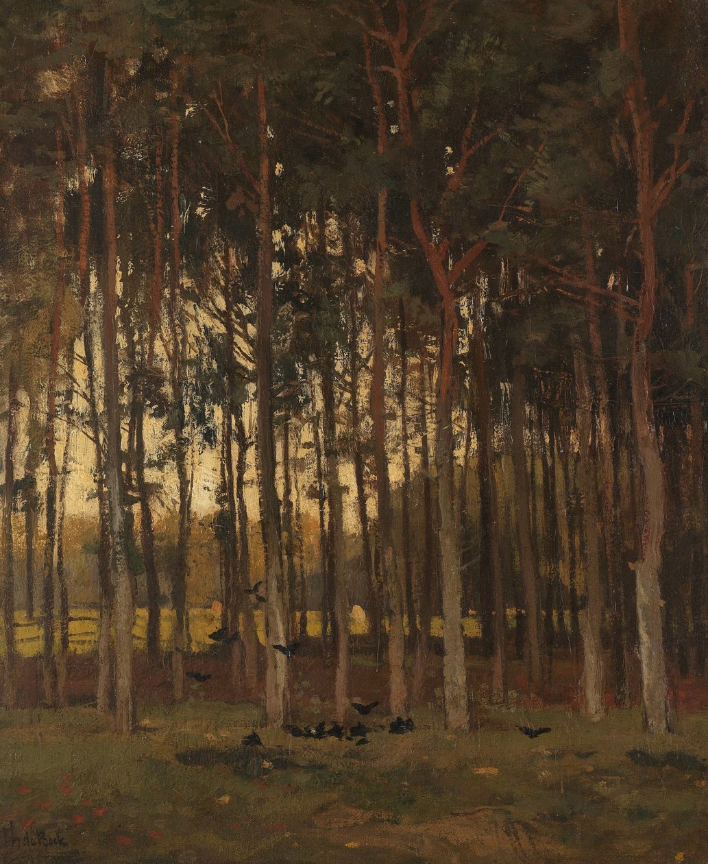 Vue dans les bois - Theophile de Bock
