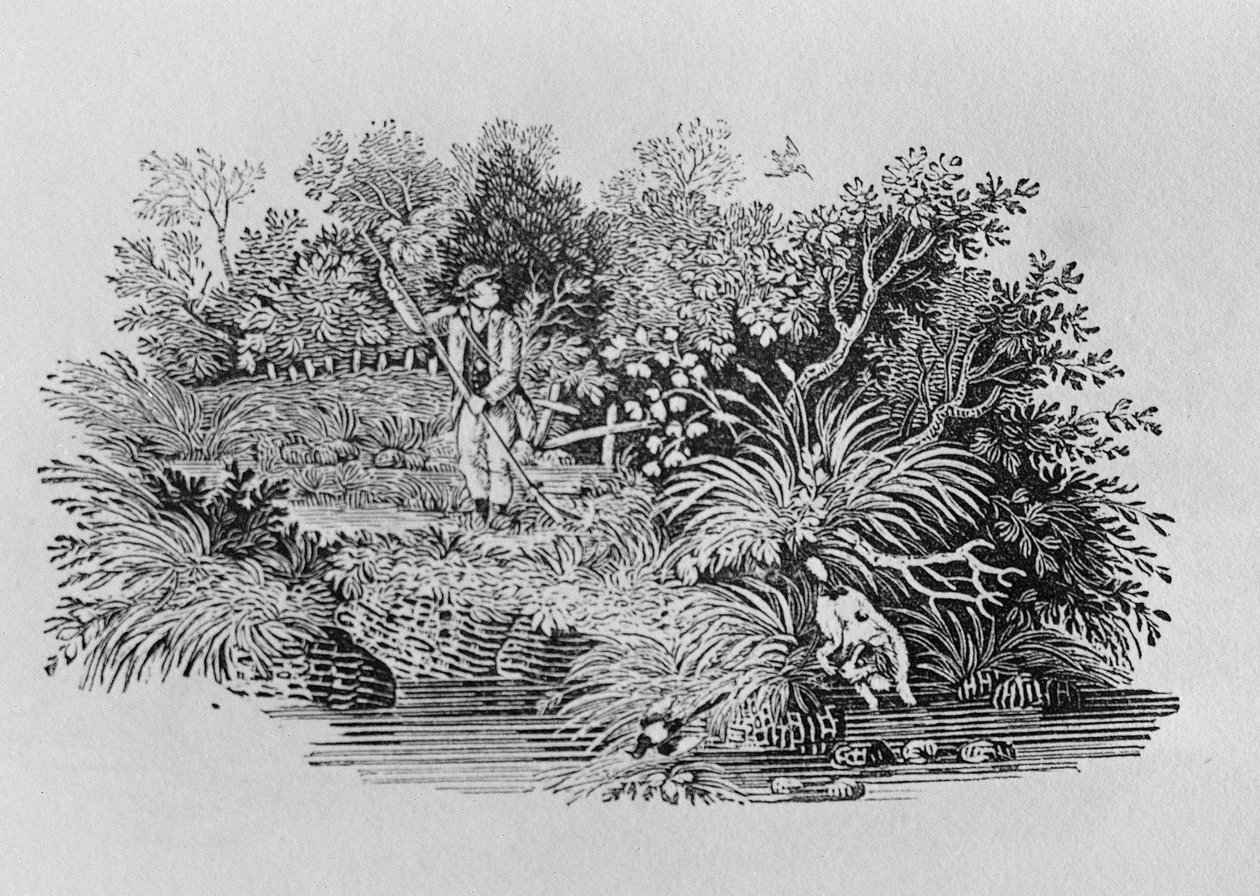 À la recherche du tir - Thomas Bewick
