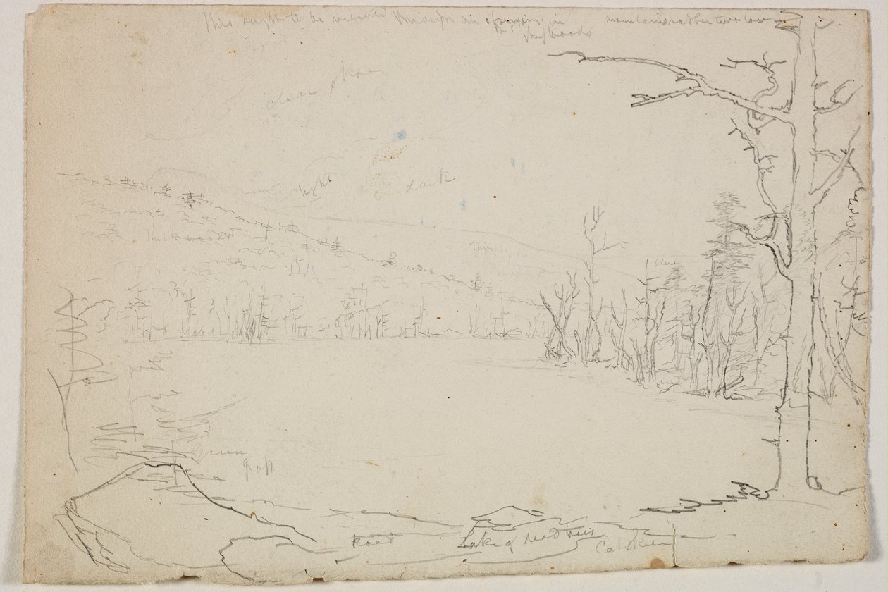 Lac des arbres morts, Catskill, 1825 - Thomas Cole