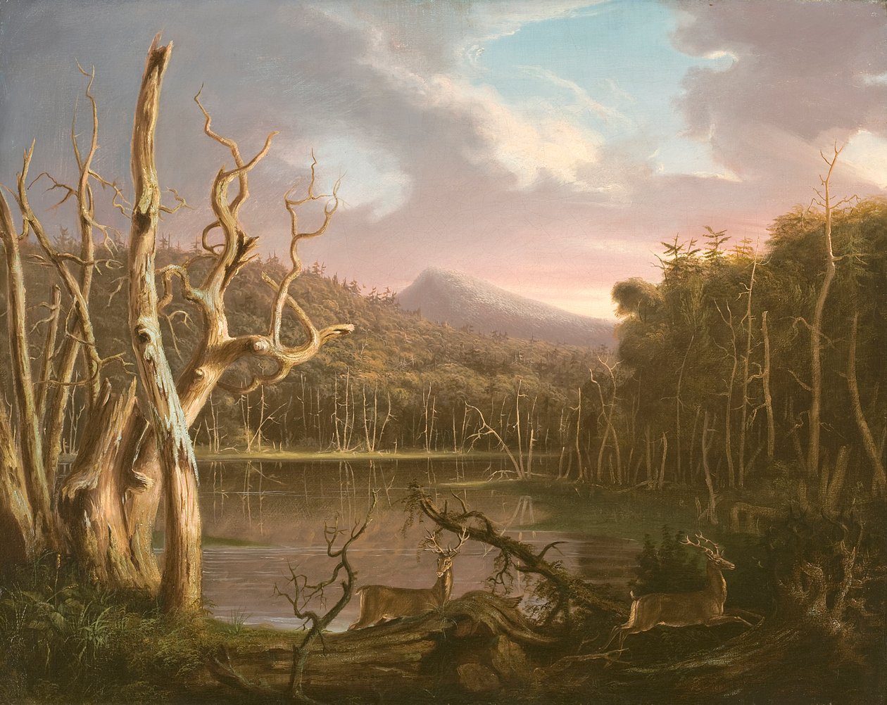 Lac avec arbres morts (Catskill) - Thomas Cole