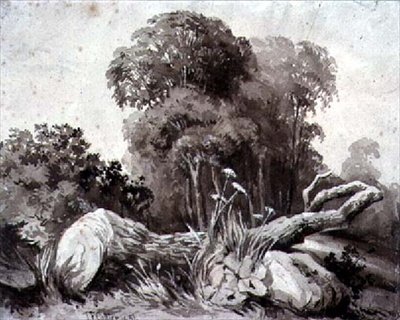 Un arbre abattu - Thomas Collier