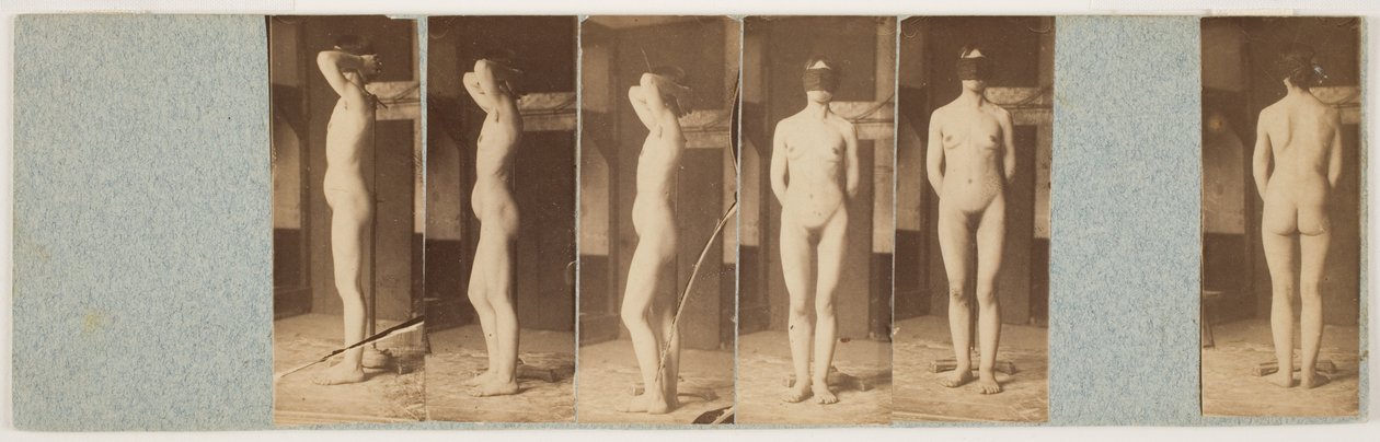 Lillie - Thomas Eakins
