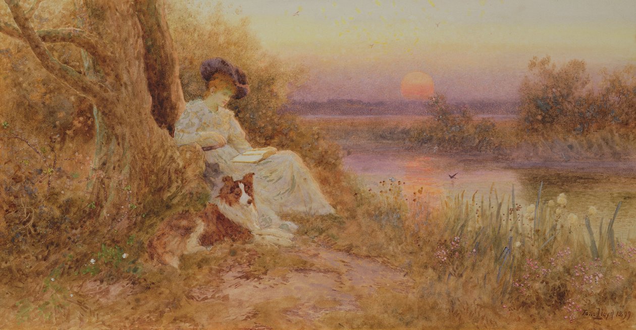 Un livre au coucher du soleil - Thomas James Lloyd