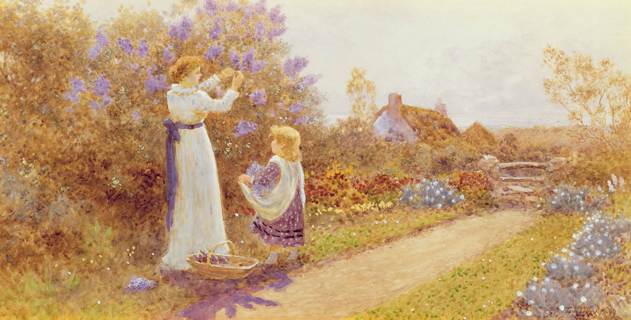 Lilas, 1899 - Thomas James Lloyd