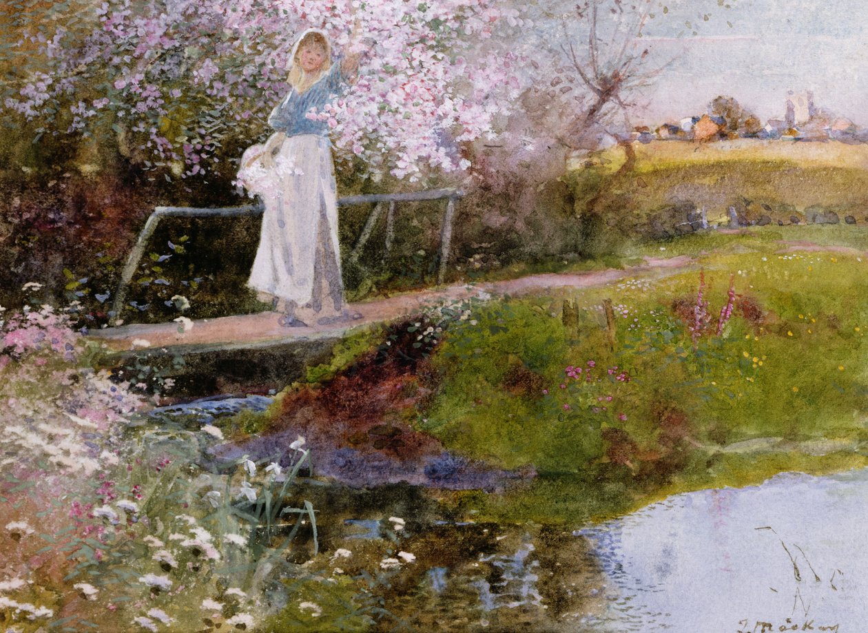 Le ruisseau du verger - Thomas Mackay