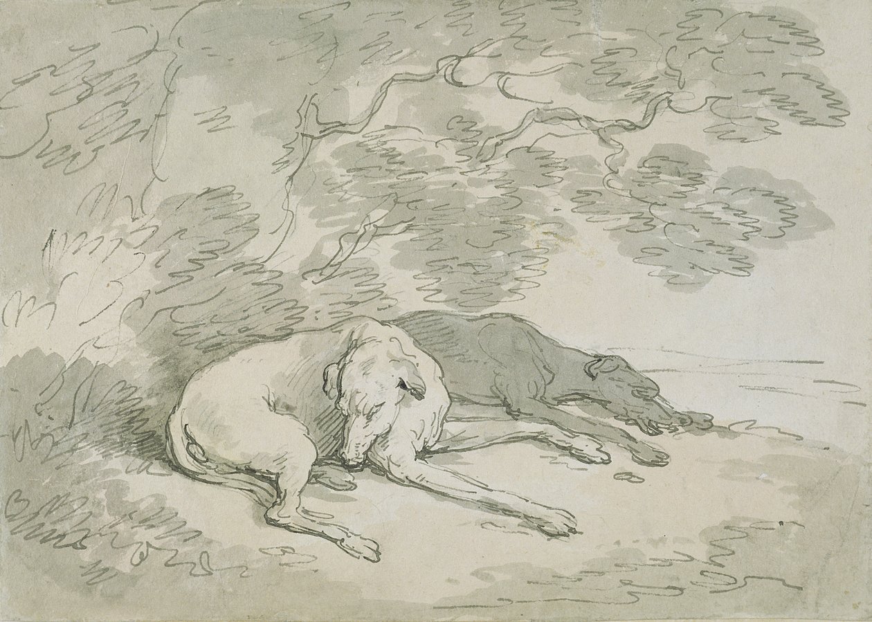 Lévriers endormis - Thomas Rowlandson