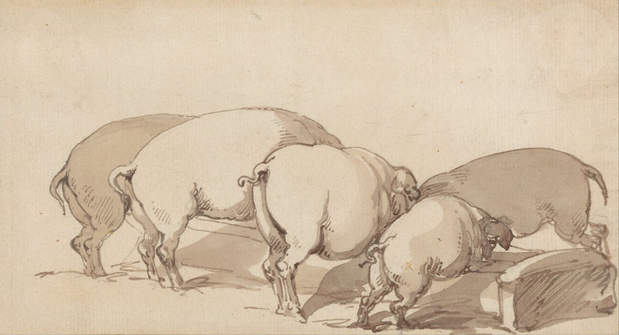 Cochons à une auge - Thomas Rowlandson