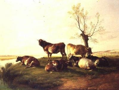 Prairies de Canterbury - Thomas Sidney Cooper