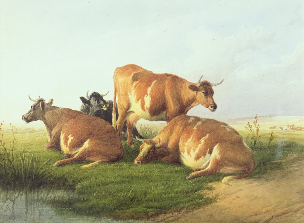 Bétail dans un paysage - Thomas Sidney Cooper