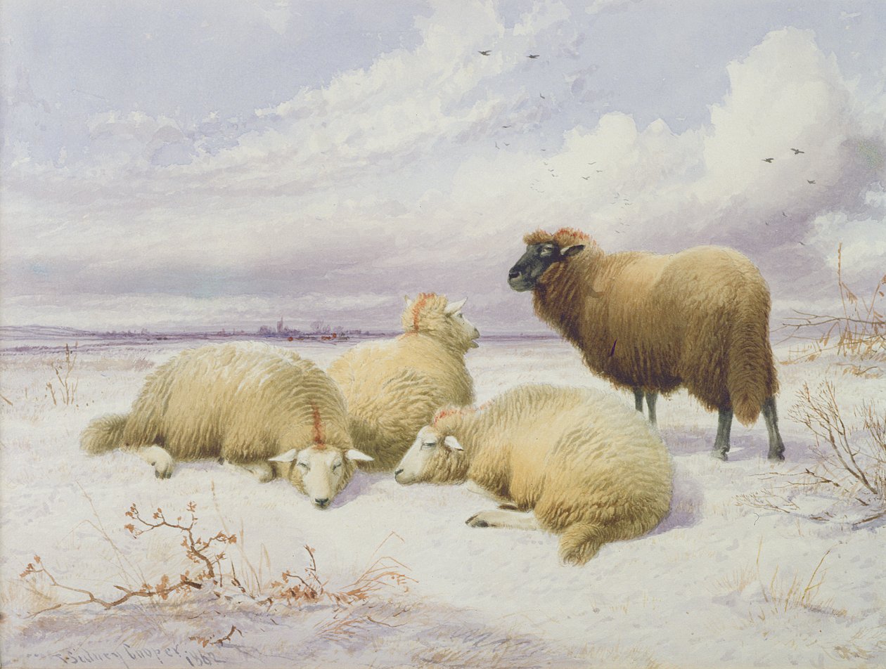 Moutons dans la Neige - Thomas Sidney Cooper
