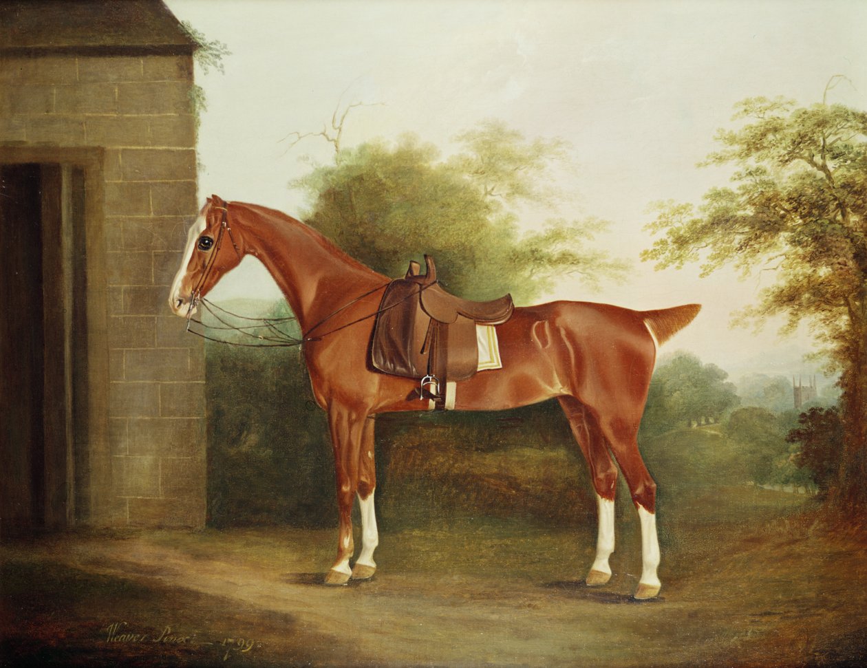 Cheval avec selle latérale - Thomas Weaver