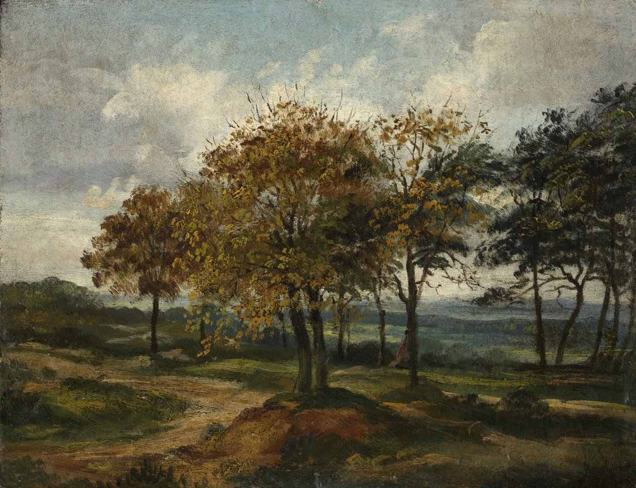 Paysage boisé - Thomas Churchyard
