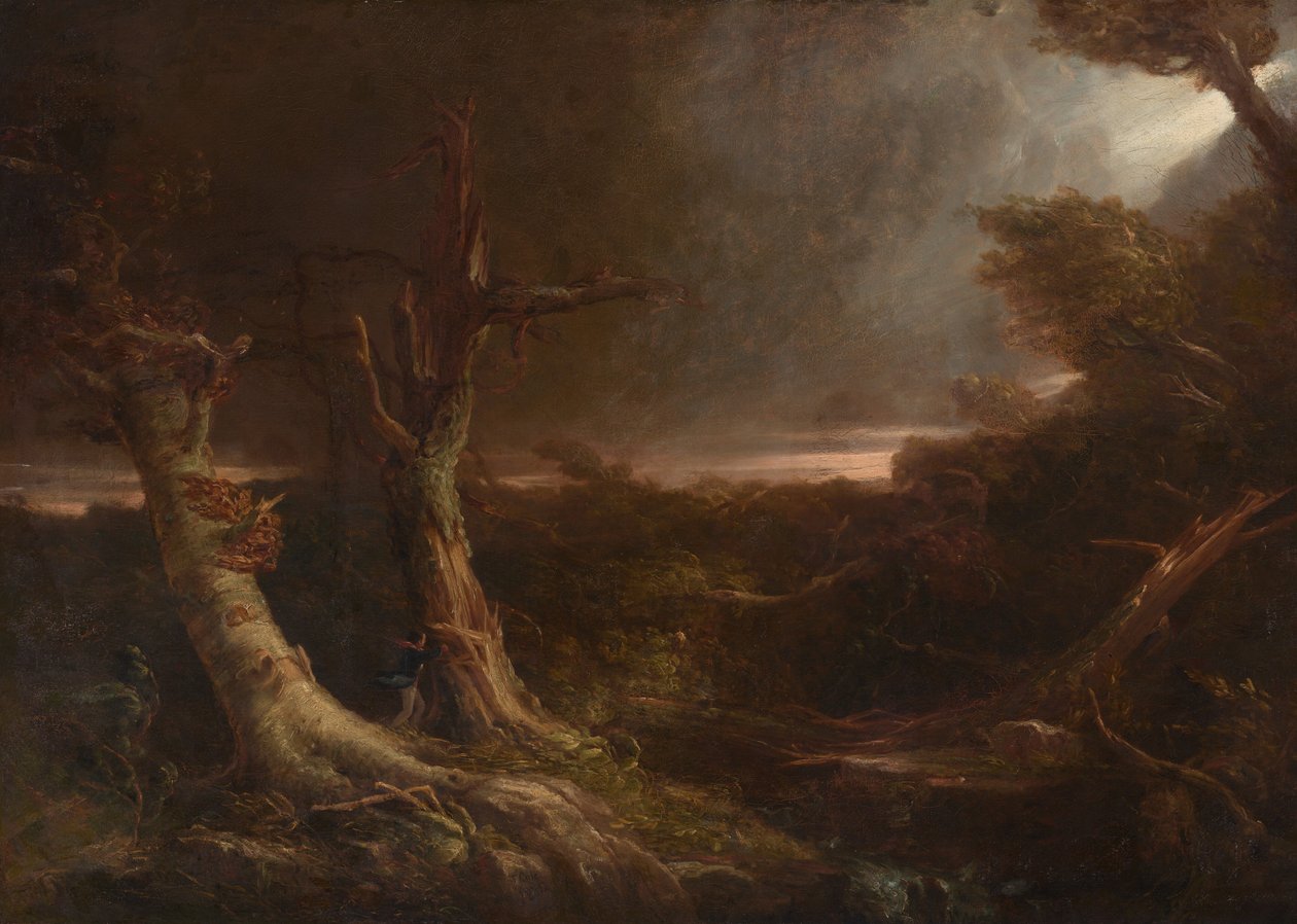 Tornade dans une forêt américaine - Thomas Cole