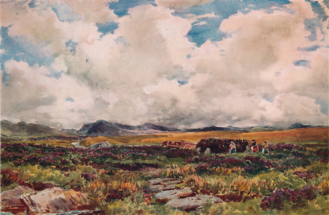 Empilement de tourbe, Festiniog, nord du Pays de Galles, 1881 - Thomas Collier