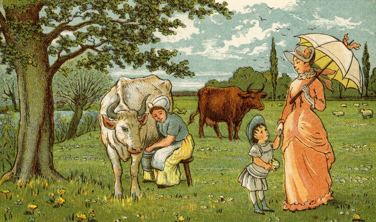 Traite de la vache pour le chocolat et le lait - Thomas Crane