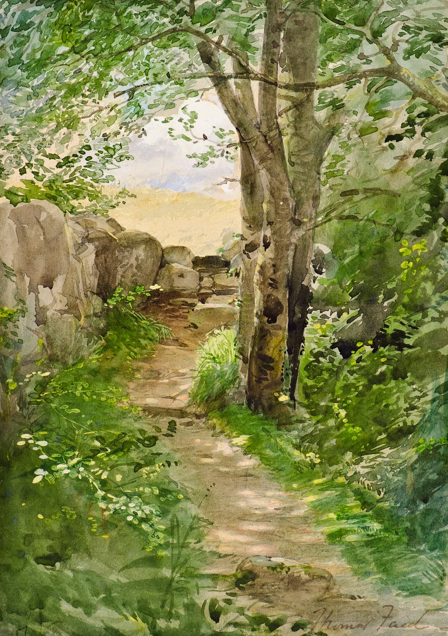 Sentier forestier - Thomas Faed