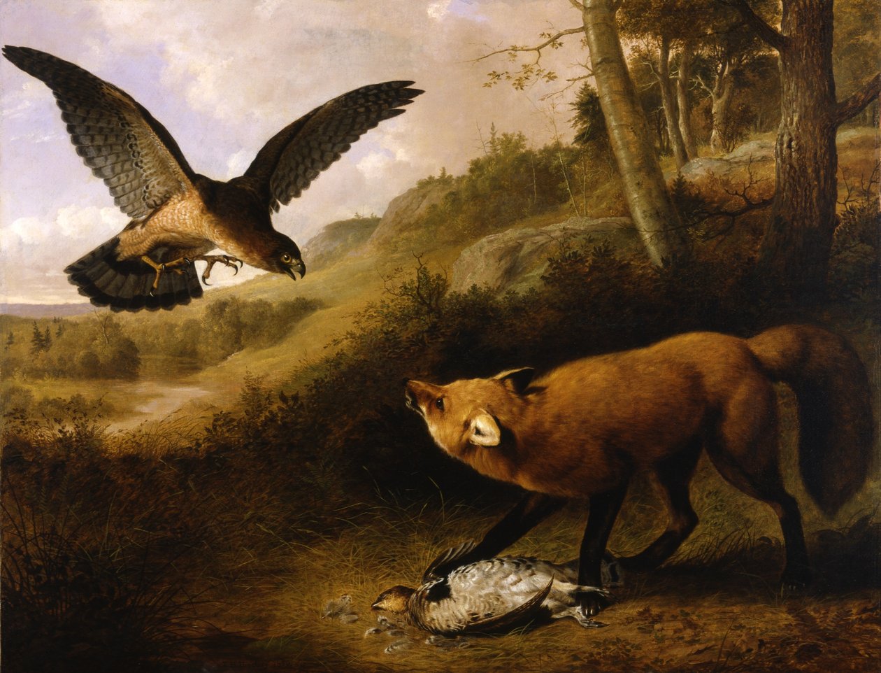 Jeu contesté - Thomas Hewes Hinckley