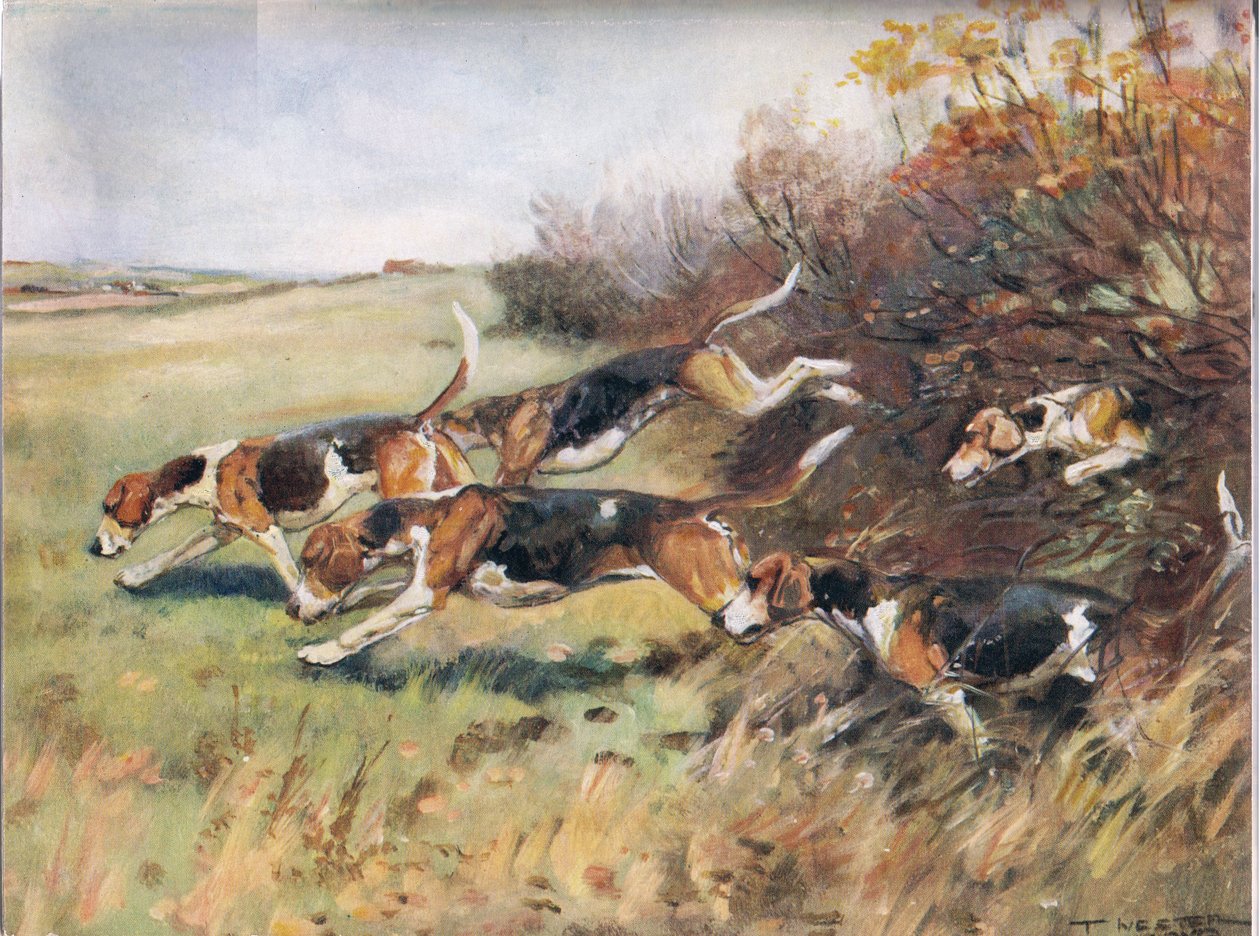 Suivant la piste, illustration de 