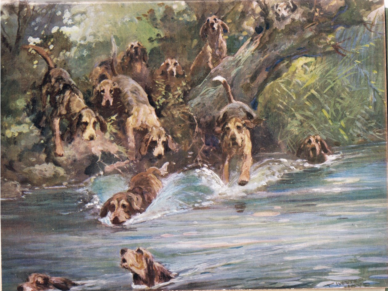 Dans la rivière, illustration de 