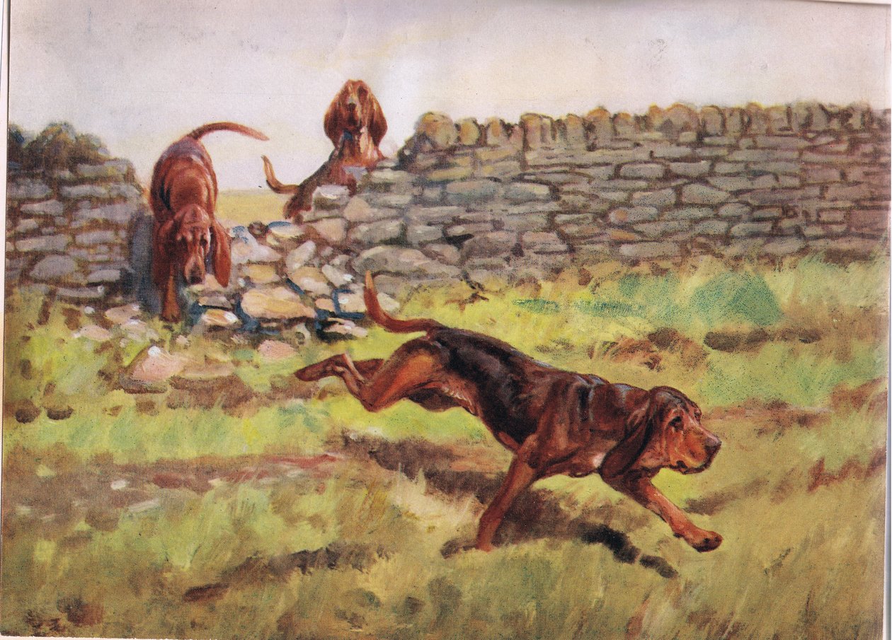 Par-dessus le mur, illustration de 