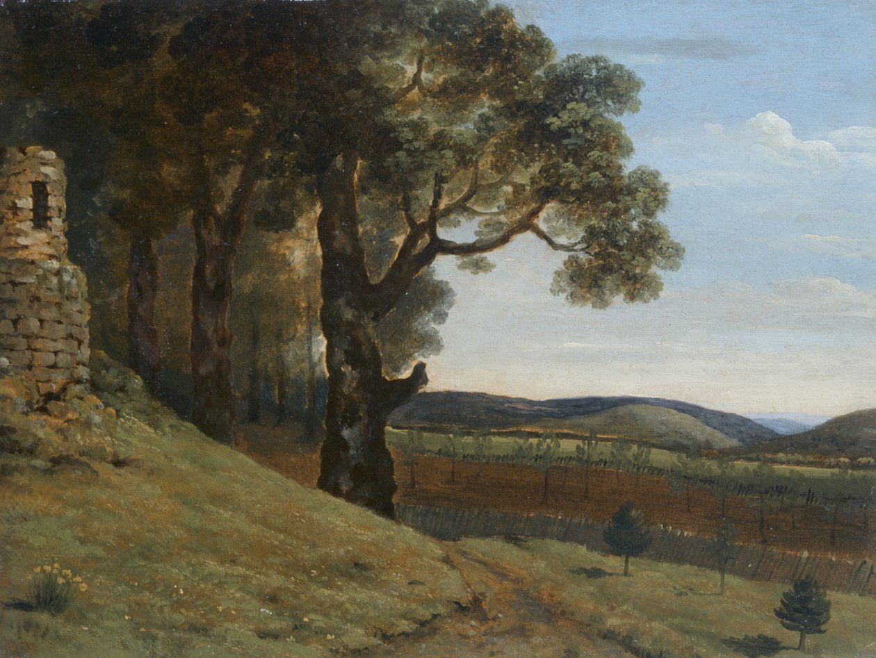 Champ près de Pencerrig - Thomas Jones