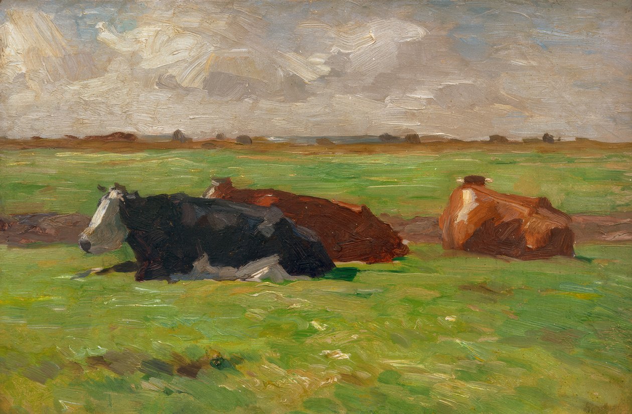 Paysage d