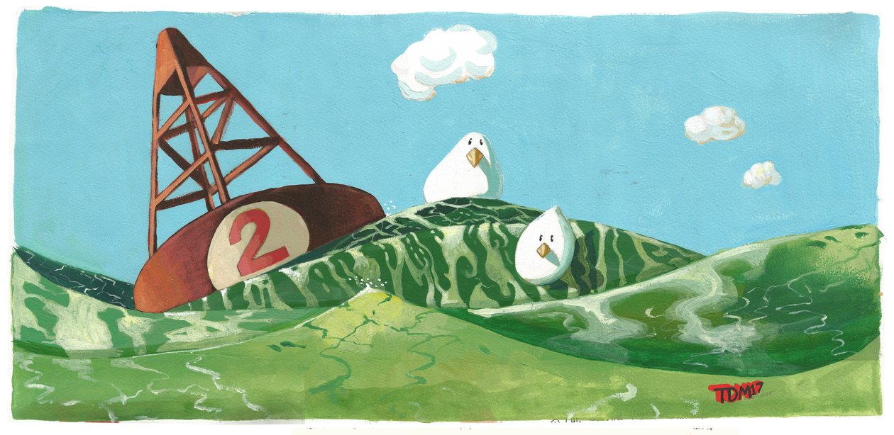 Oiseaux Bouée Houle - Thomas MacGregor
