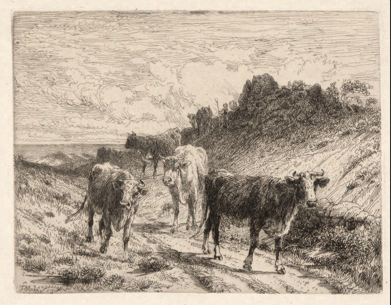 Vaches - Thomas Moran