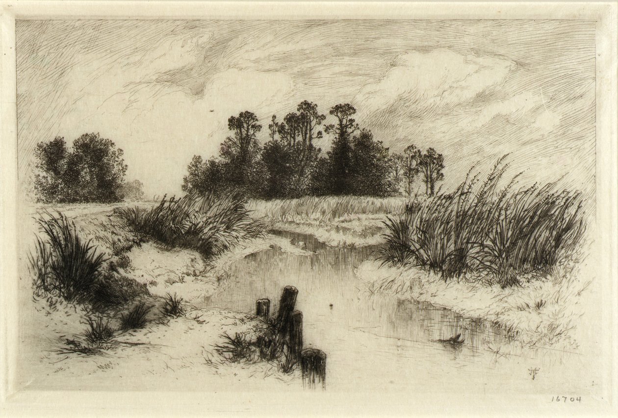 Près de Easthampton, L.I. (Passaic Meadows) - Thomas Moran