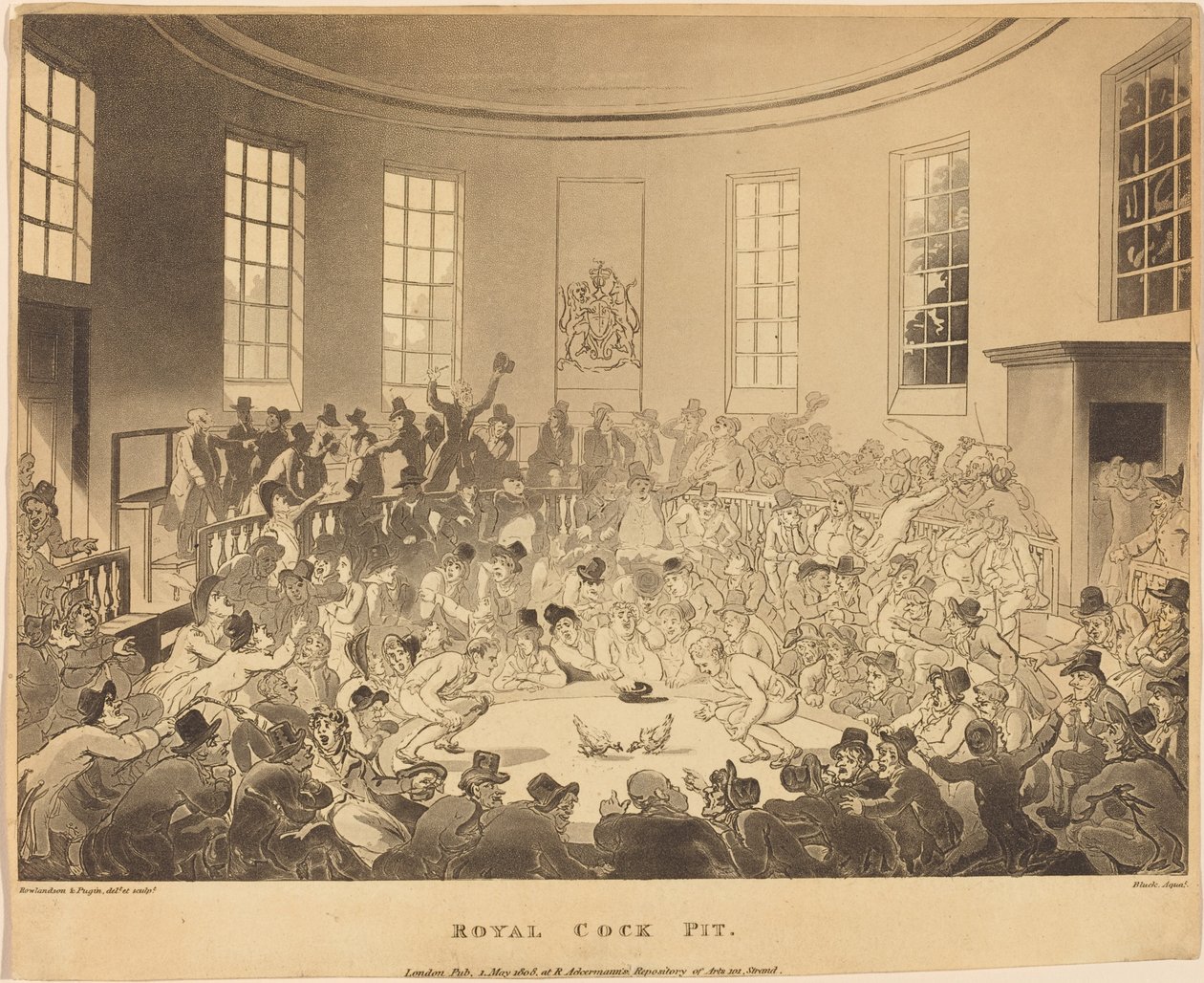 Royal Cock Pit - Thomas Rowlandson