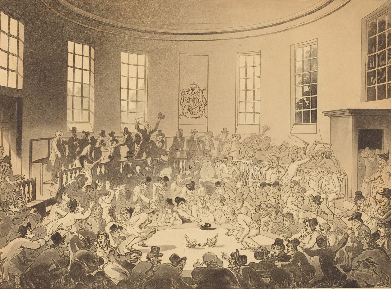 Royal Cock Pit, publié en 1808 - Thomas Rowlandson