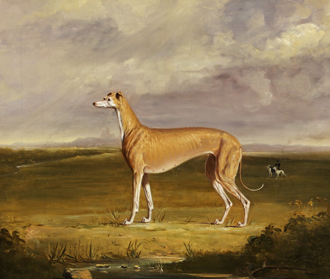 Le Lévrier, vers 1830 - Thomas W. Bretland