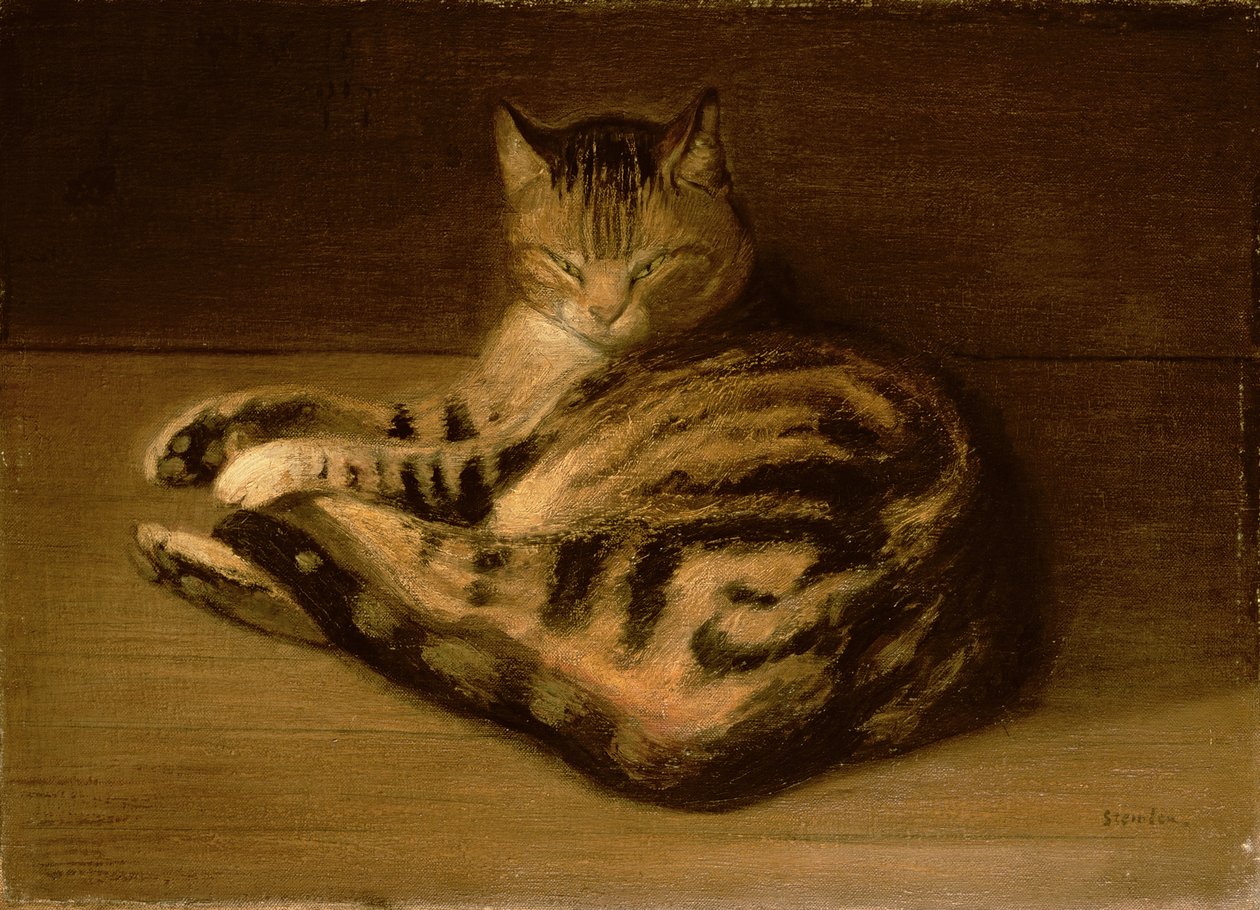 Chat couché, 1898 - Théophile Alexandre Steinlen