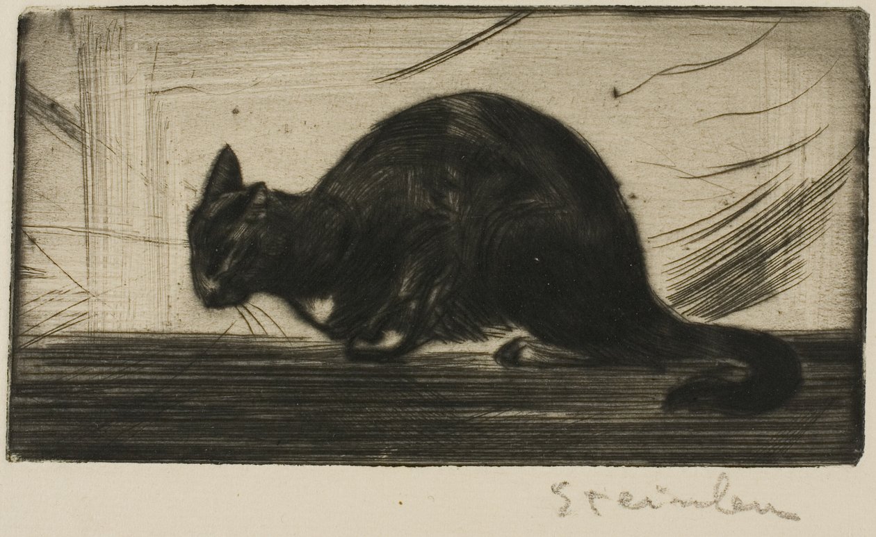 Chat arquant le dos - Théophile Alexandre Pierre Steinlen