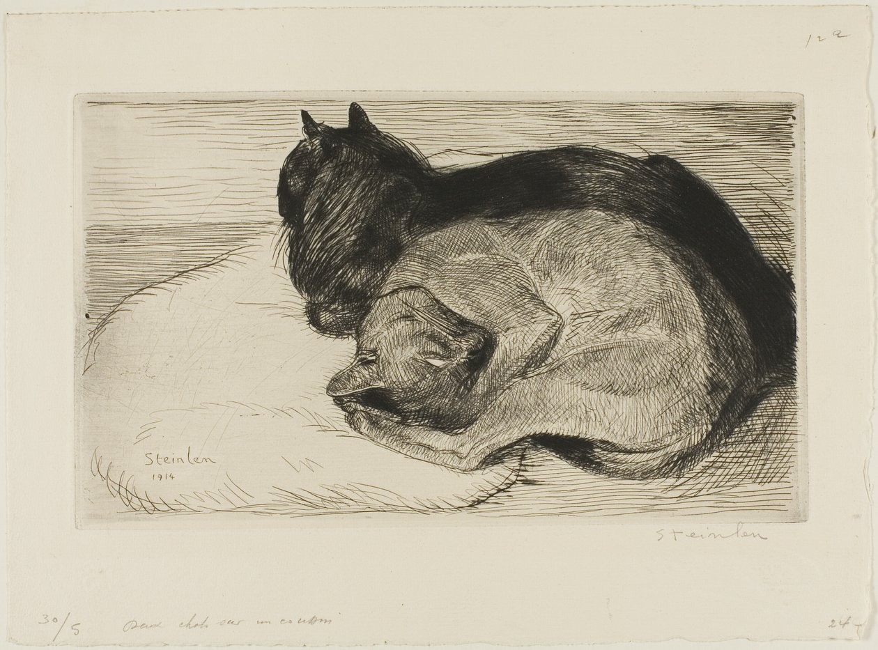 Deux chats sur un coussin - Théophile Alexandre Pierre Steinlen