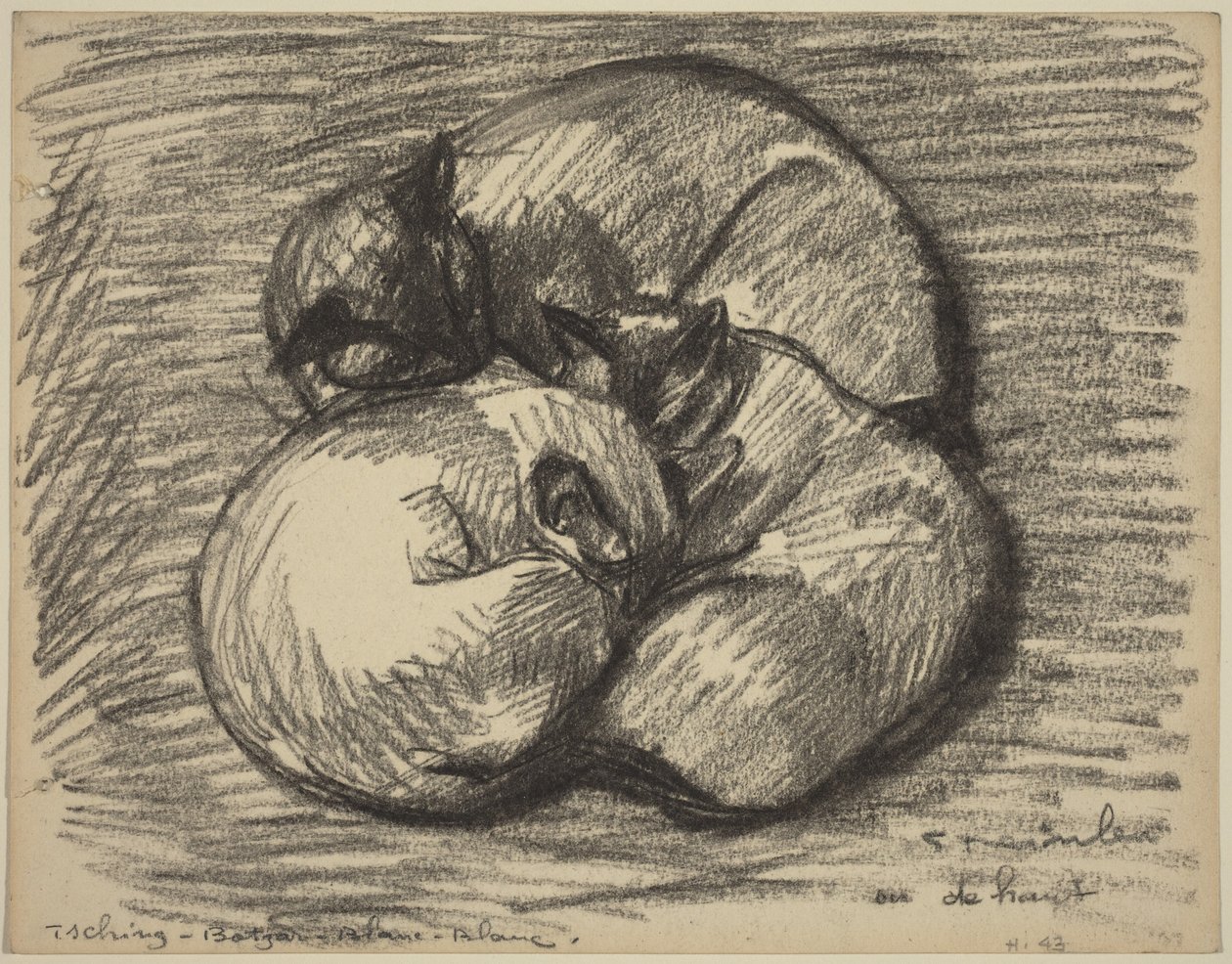 Les chats : Tsching, Batzar et Blanc-Blanc - Théophile Alexandre Steinlen