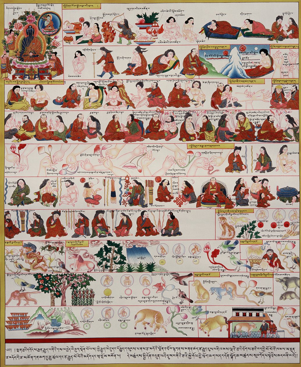 Manuscrit sur la médecine tibétaine - Tibetan School