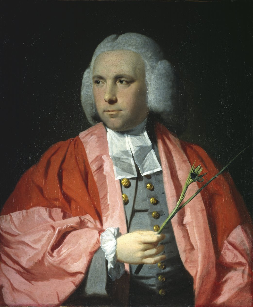 Portrait du Dr Daniel Lysons, D.C.L., M.D., vers 1762-68 - Tilly Kettle