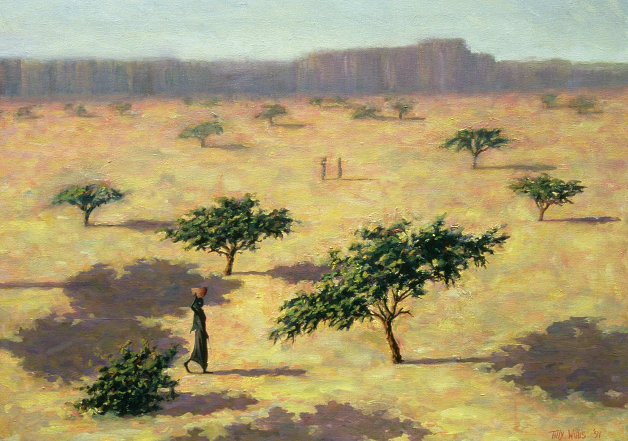 Paysage Sahélien, Mali, 1991 - Tilly Willis