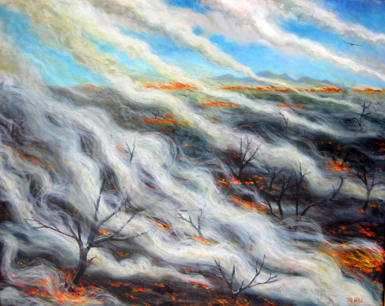 Terre brûlée, 2014 - Tilly Willis