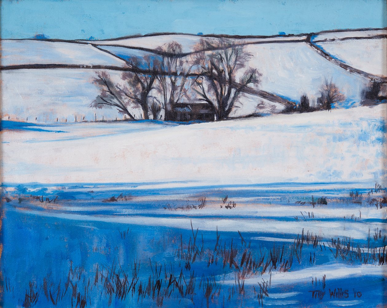 Ombres de neige, 2010 - Tilly Willis
