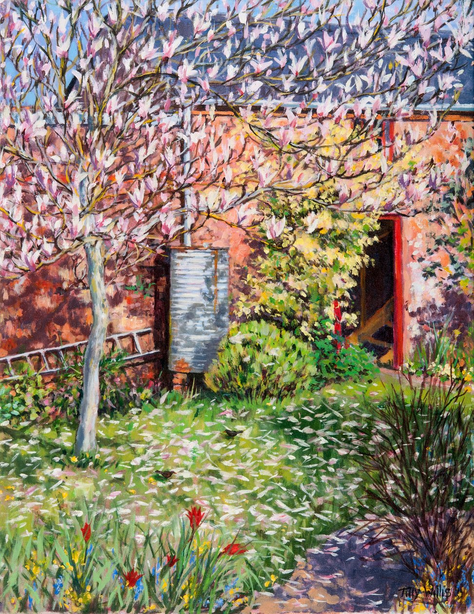 Sous le magnolia - Tilly Willis