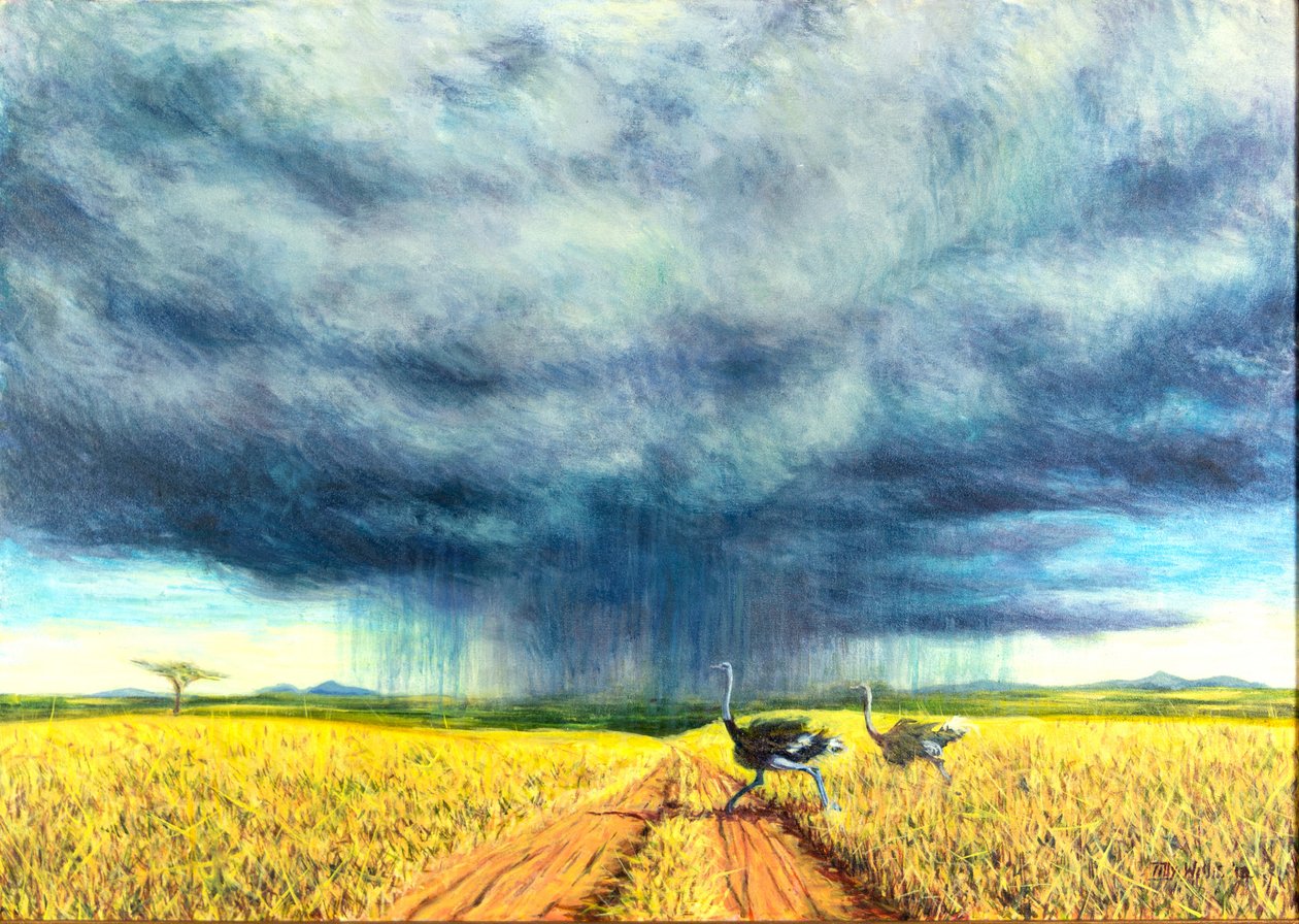 Tempête Africaine - Tilly Willis