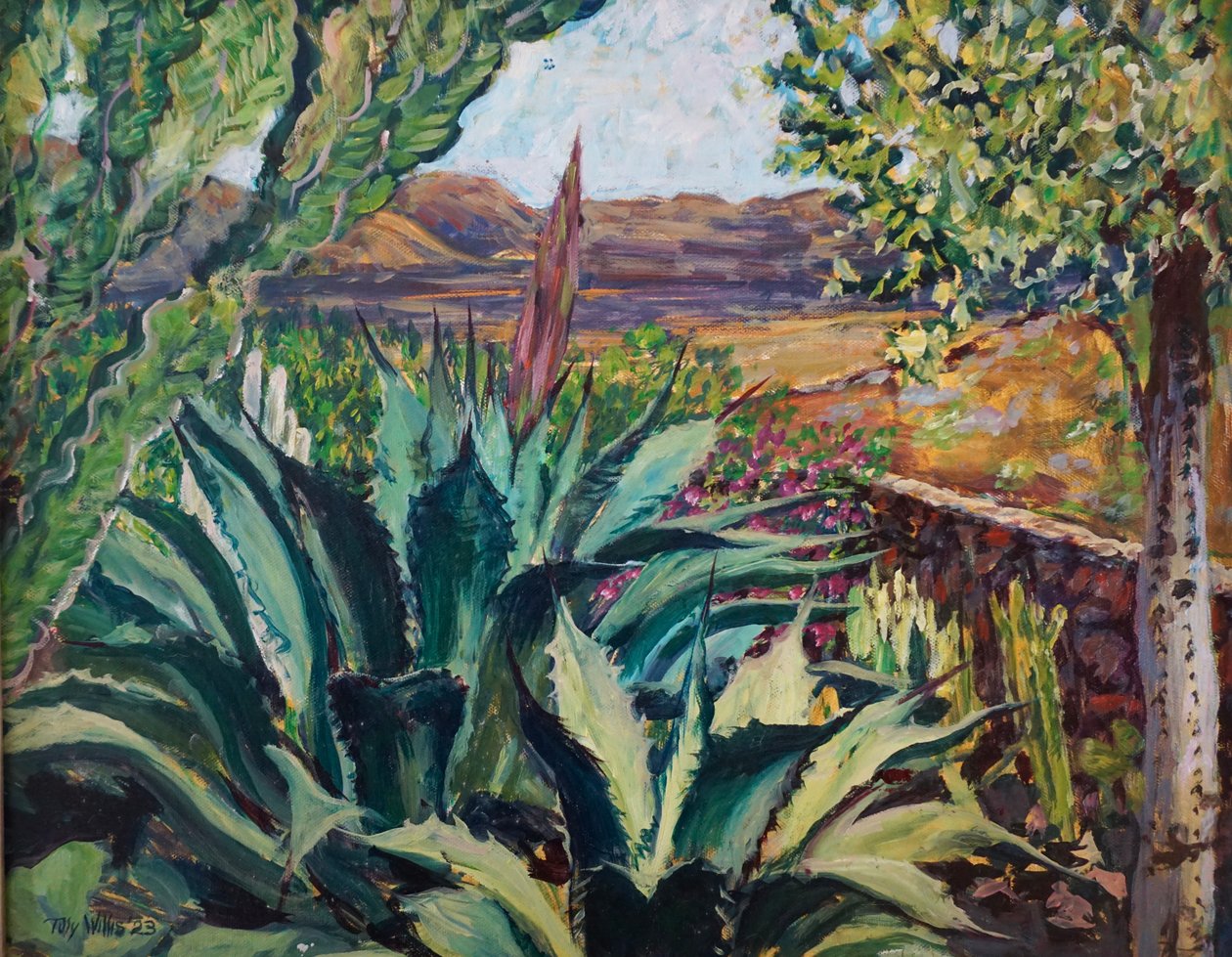 Paysage de Lanzarote, 2023 - Tilly Willis